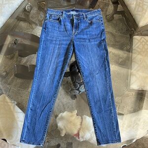 7 For All Mankind Roxanne Ankle Women's Jeans